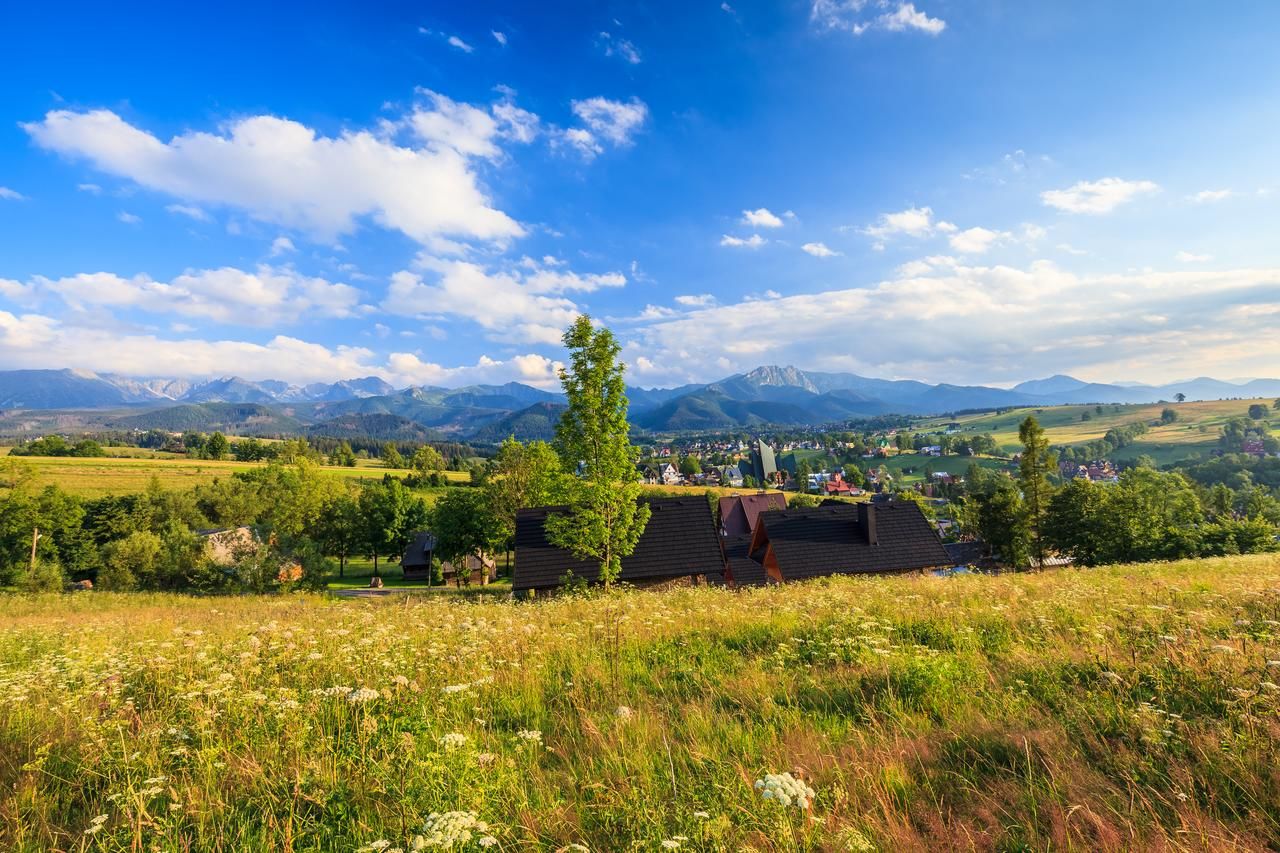 Шале Tatrzański Ogród Regional Houses Zakopane Закопане-11