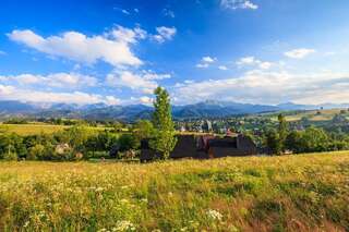 Шале Tatrzański Ogród Regional Houses Zakopane Закопане-7